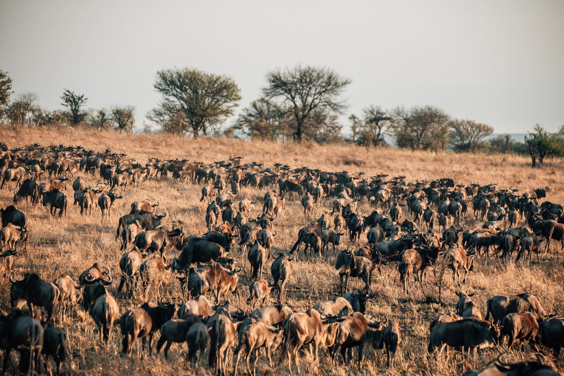 Back to Eden Safaris (113)