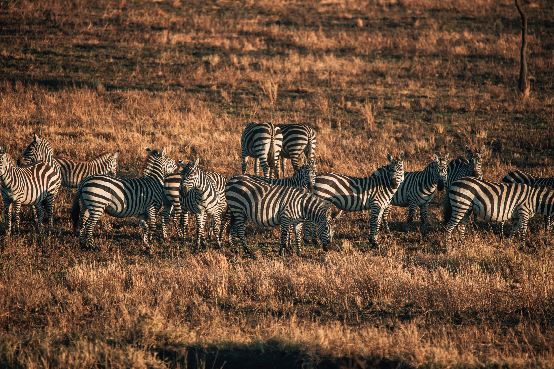Back to Eden Safaris (115)