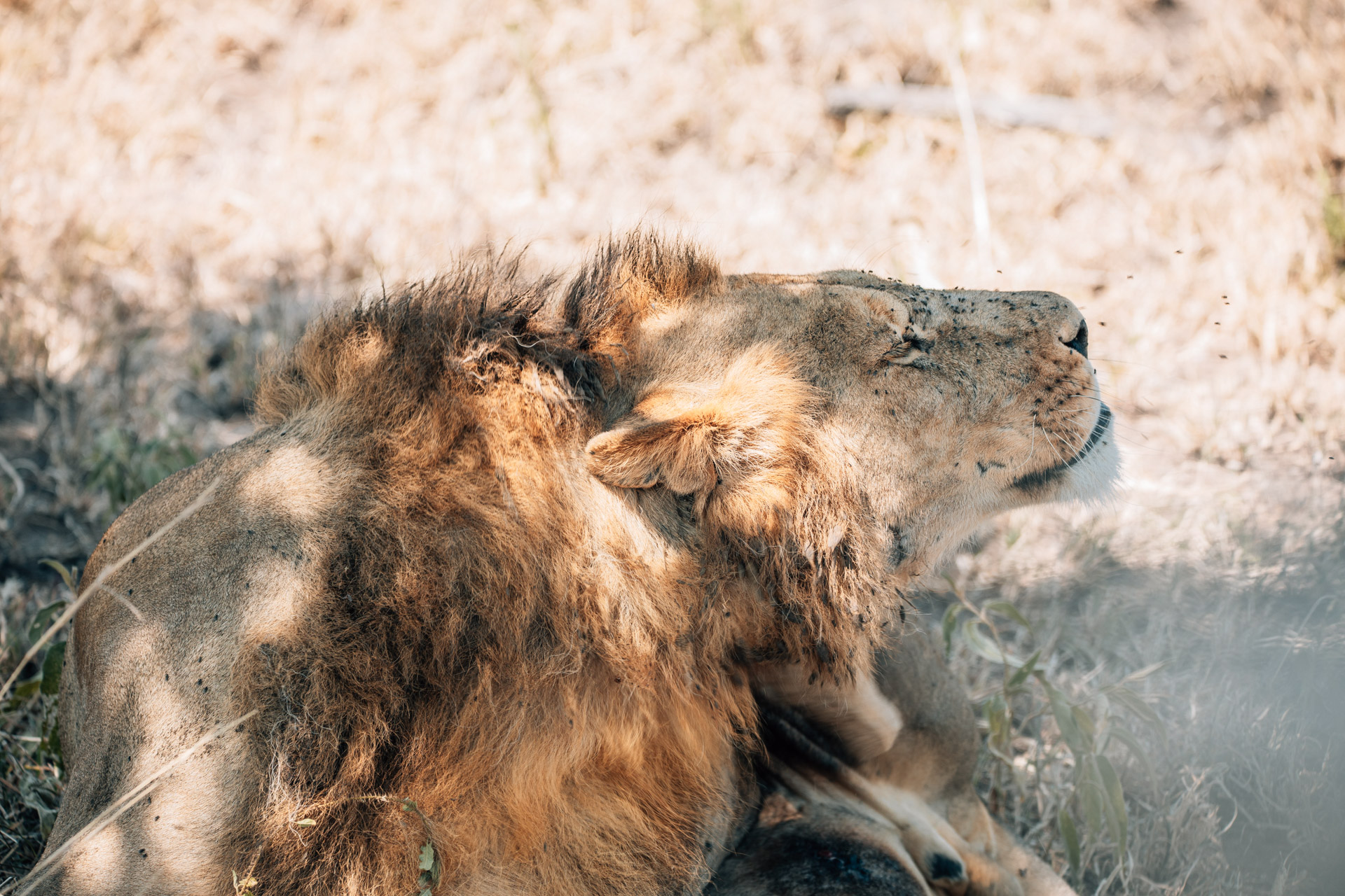 Back to Eden Safaris (143)