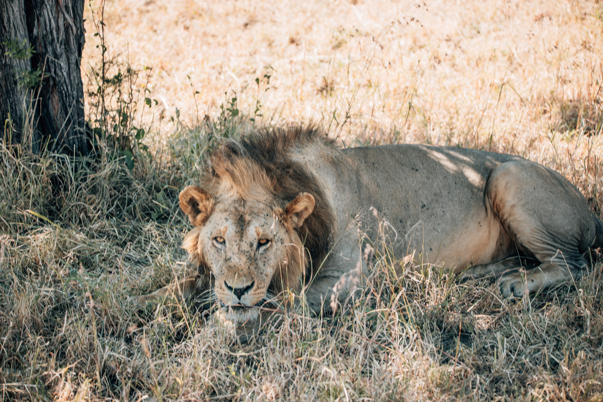 Back to Eden Safaris (147)