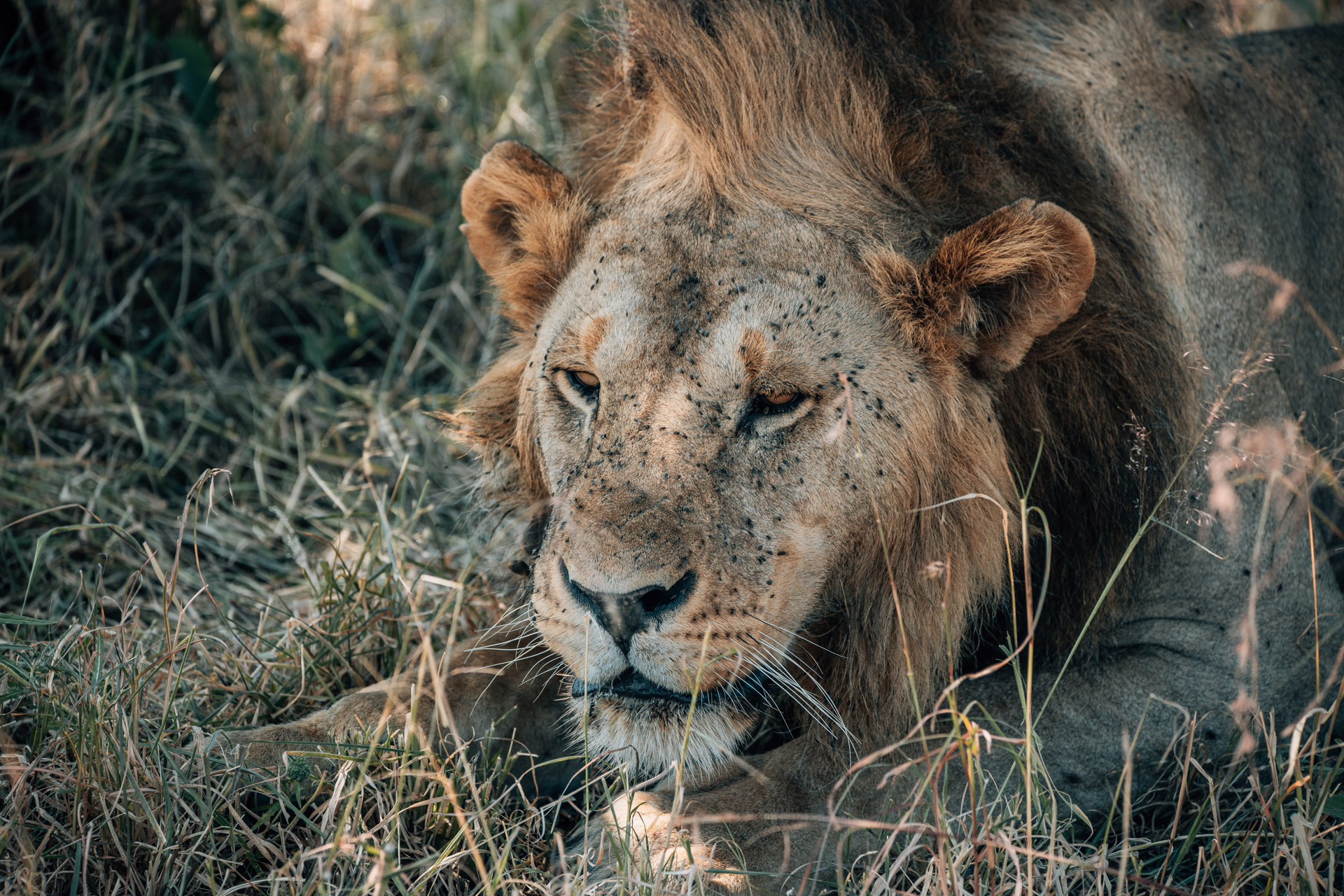Back to Eden Safaris (149)