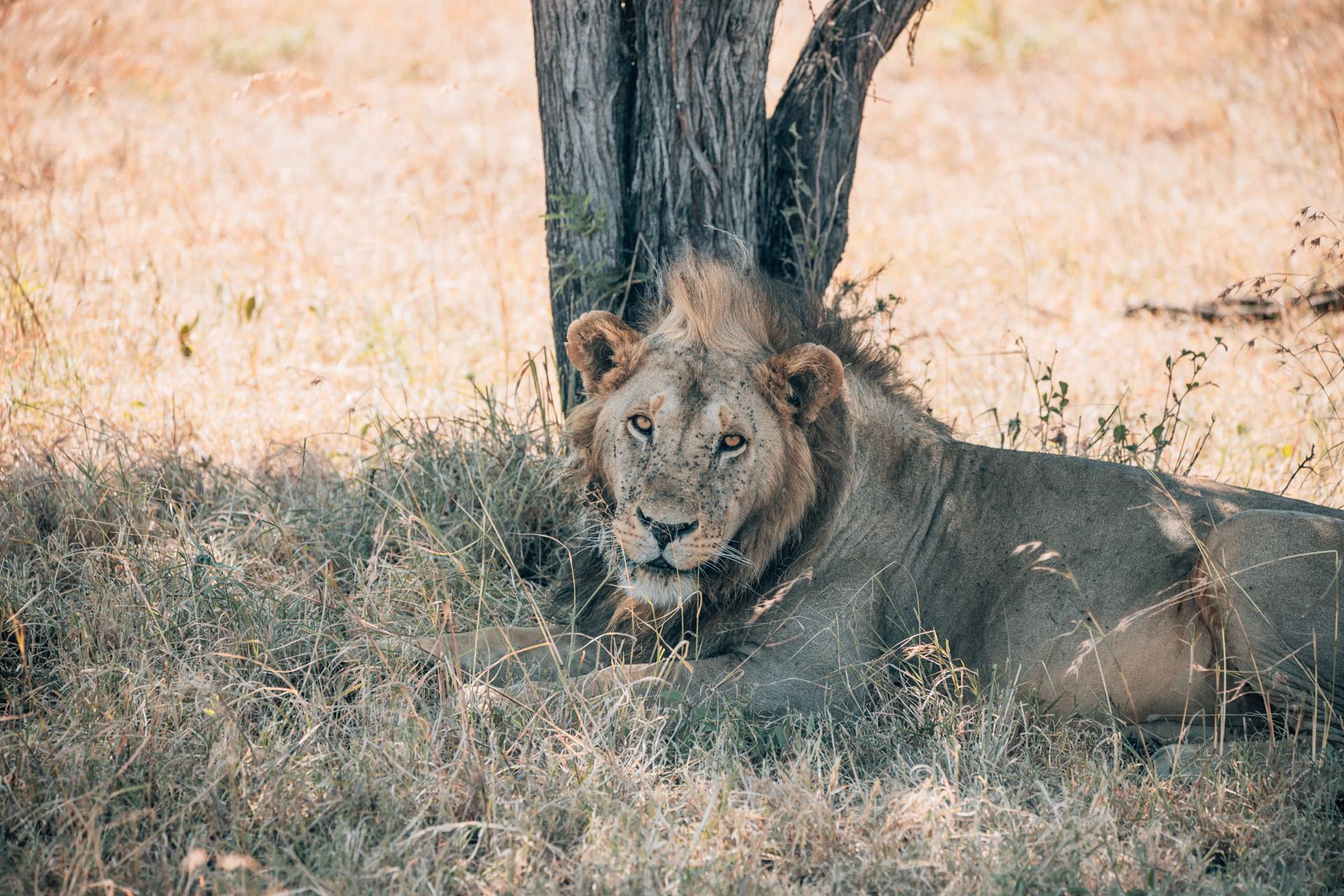 Back to Eden Safaris (151)