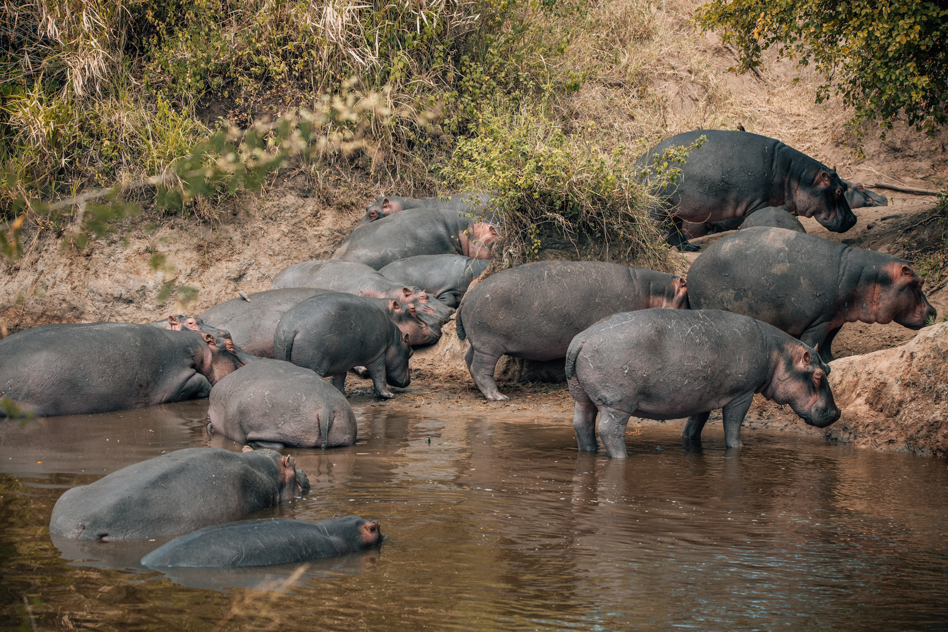 Back to Eden Safaris (168)