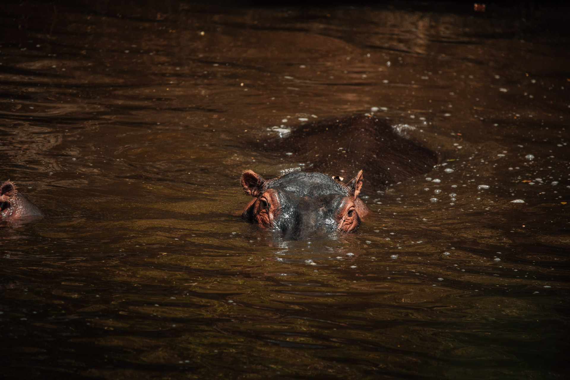 Back to Eden Safaris (174)