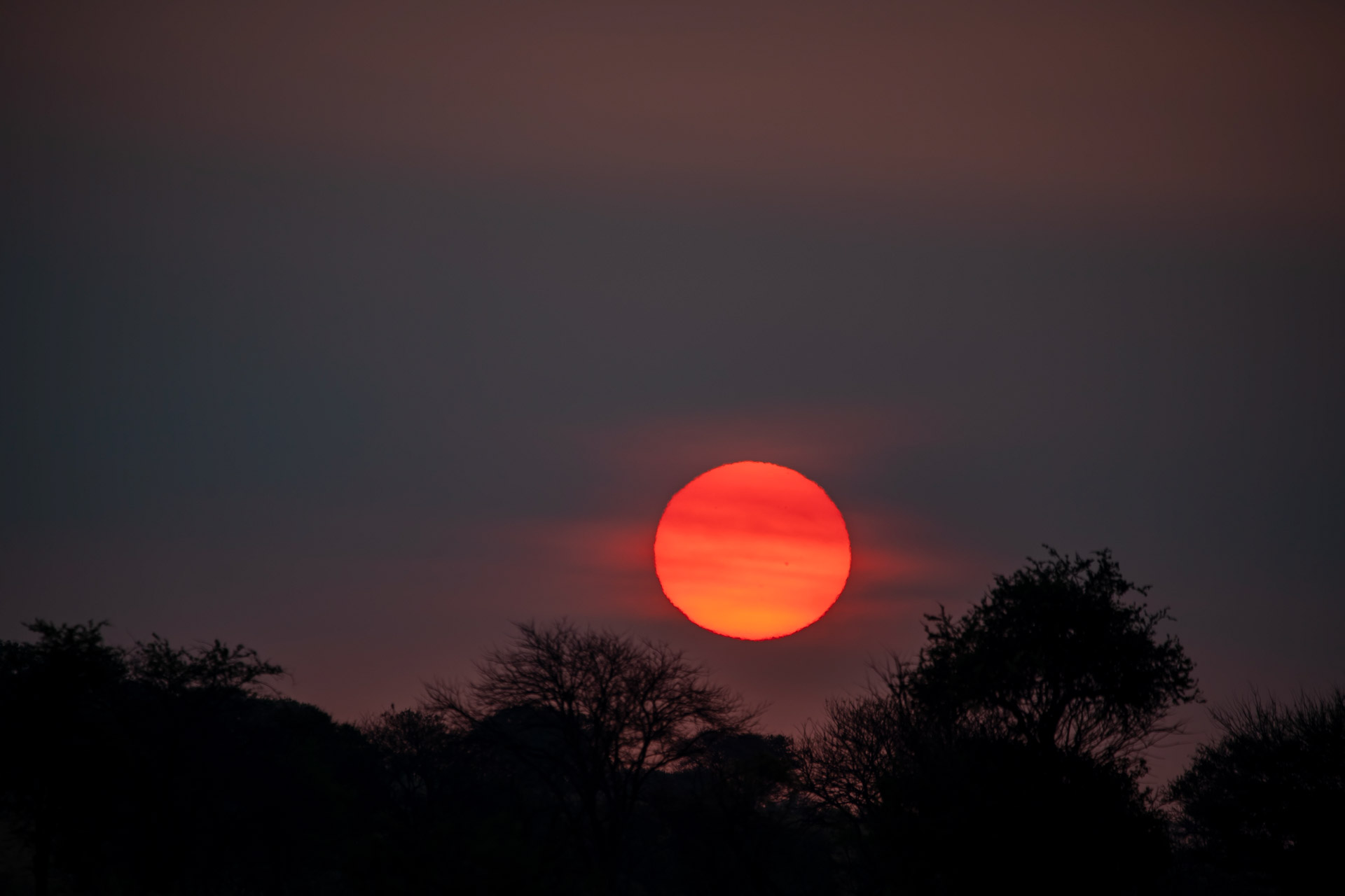 Back to Eden Safaris (181)