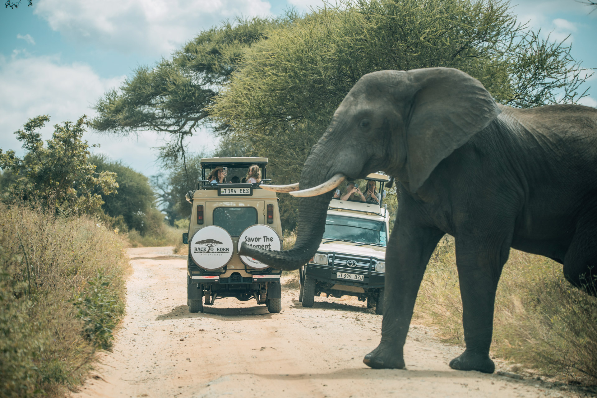Back to Eden Safaris (27)