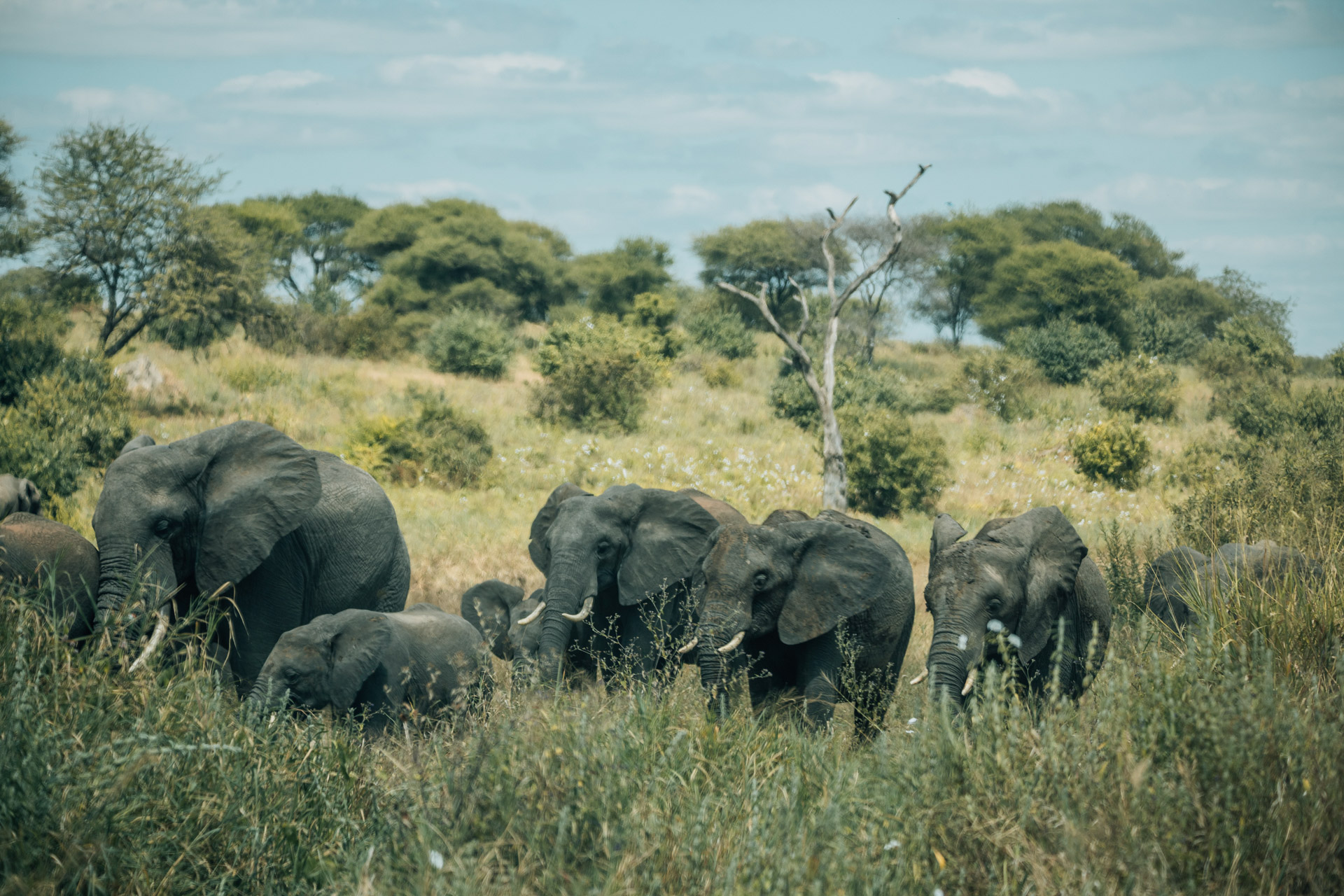 Back to Eden Safaris (32)