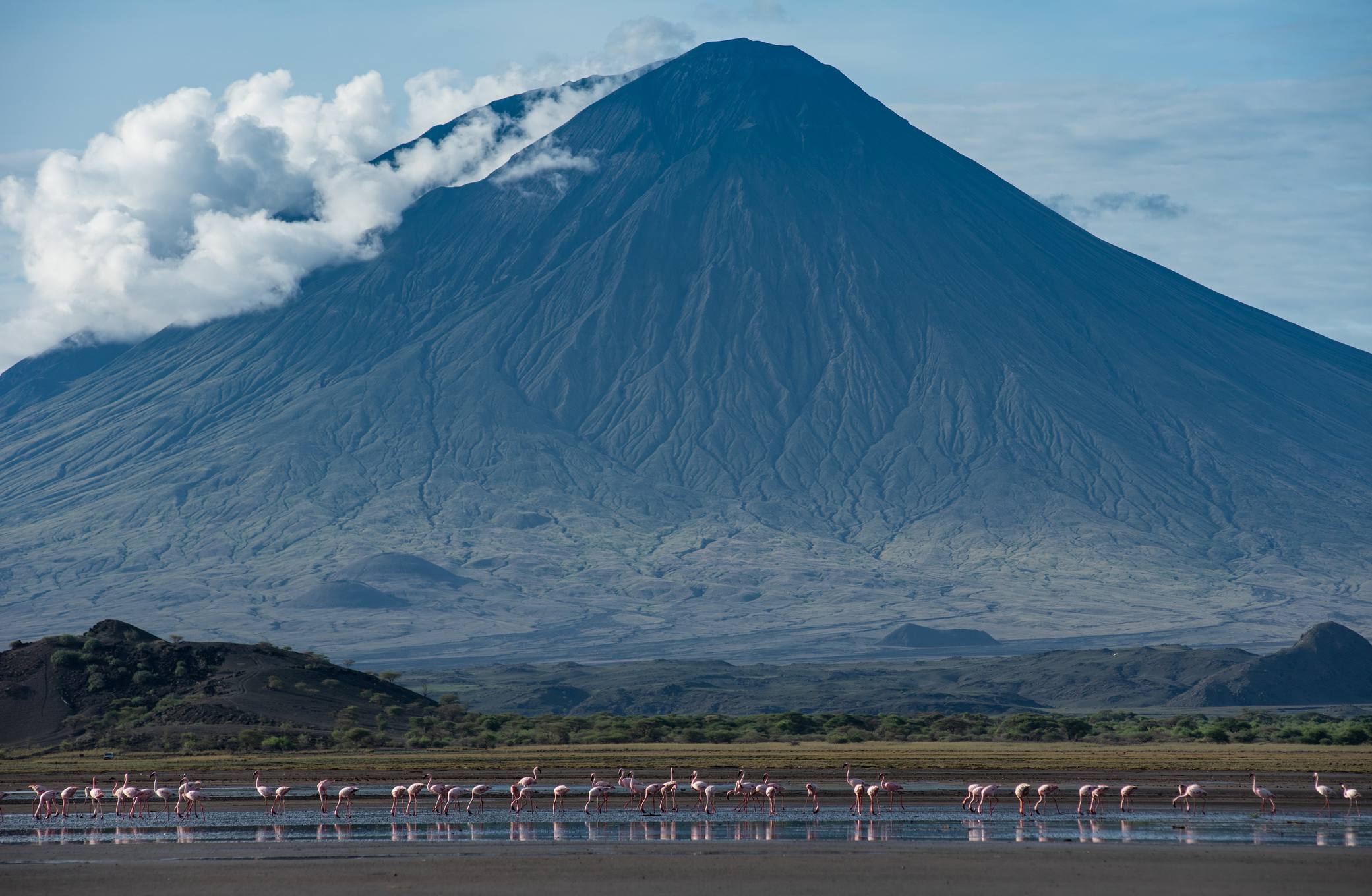 Lake_Natron_Flamingos_08