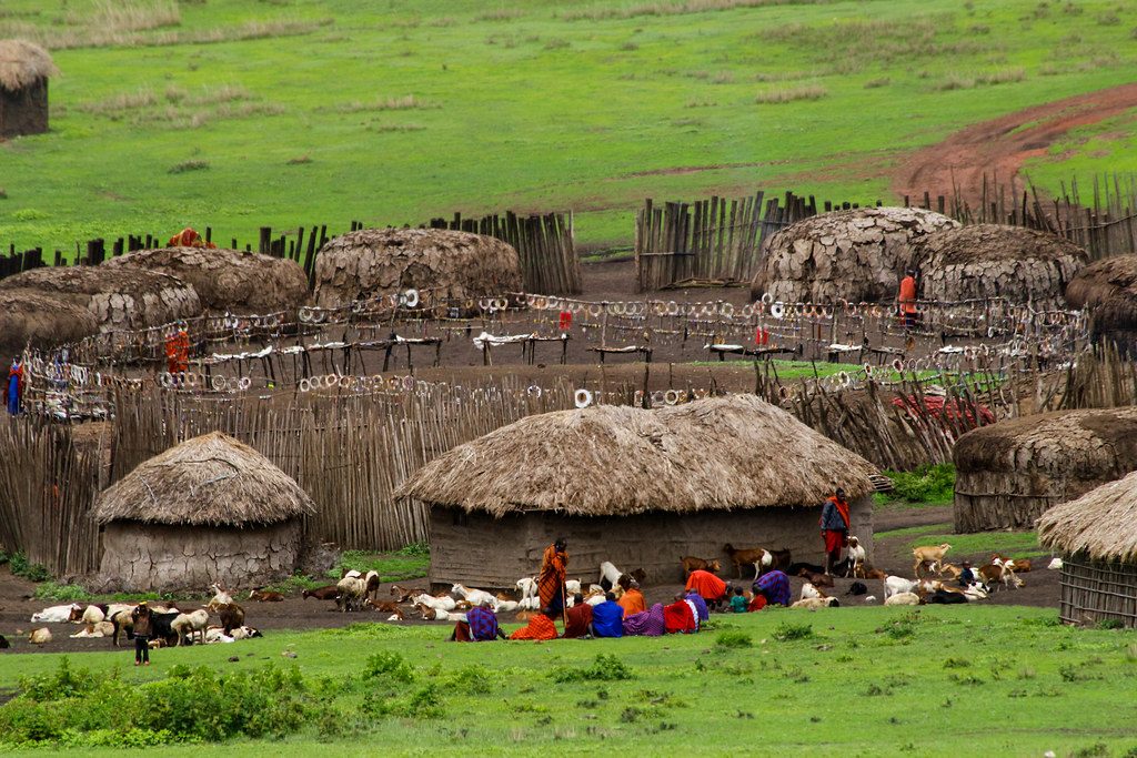 Maasai Cultural Experience Safari (7)