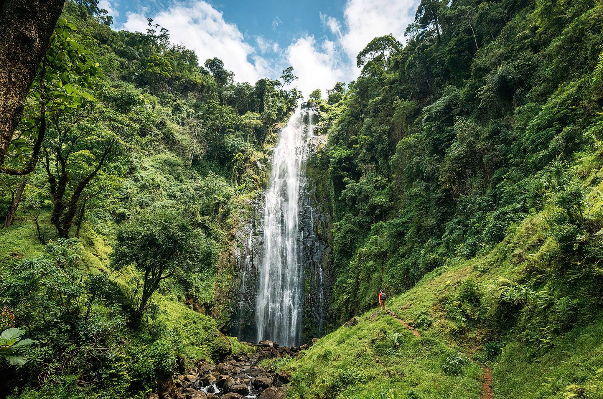Materuni Waterfalls And Coffee Cultural Experience (6)
