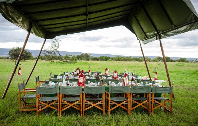 Melia Serengeti Lodge (10)