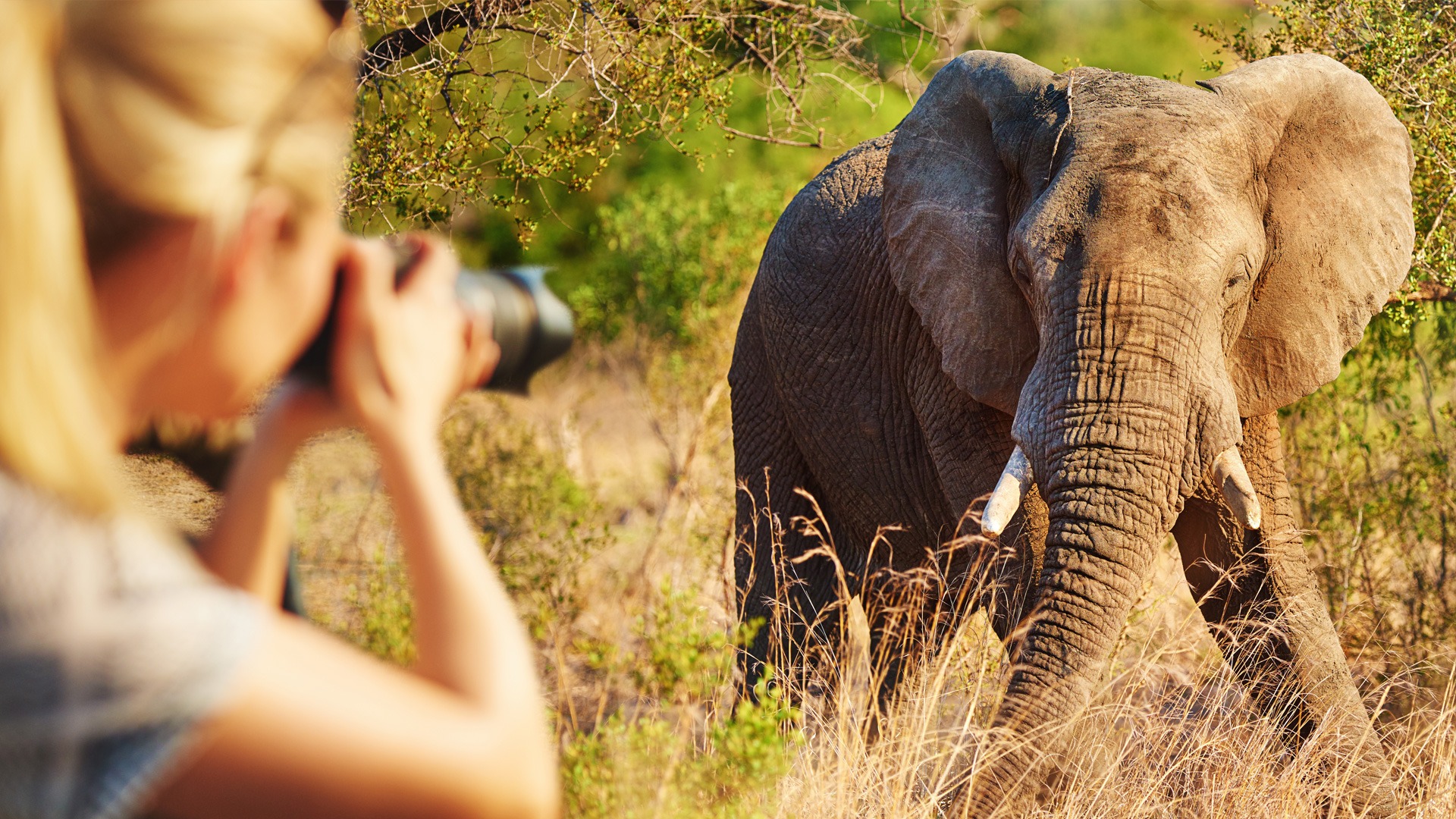 Photographic Safari Experience (1)
