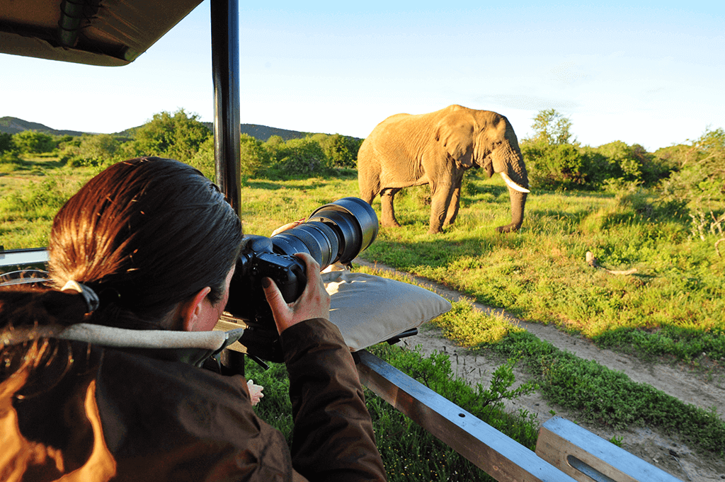 Photographic Safari Experience (1)