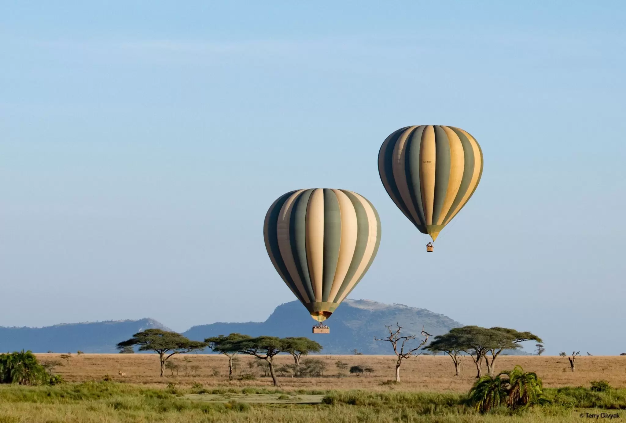Serengeti Above the Clouds