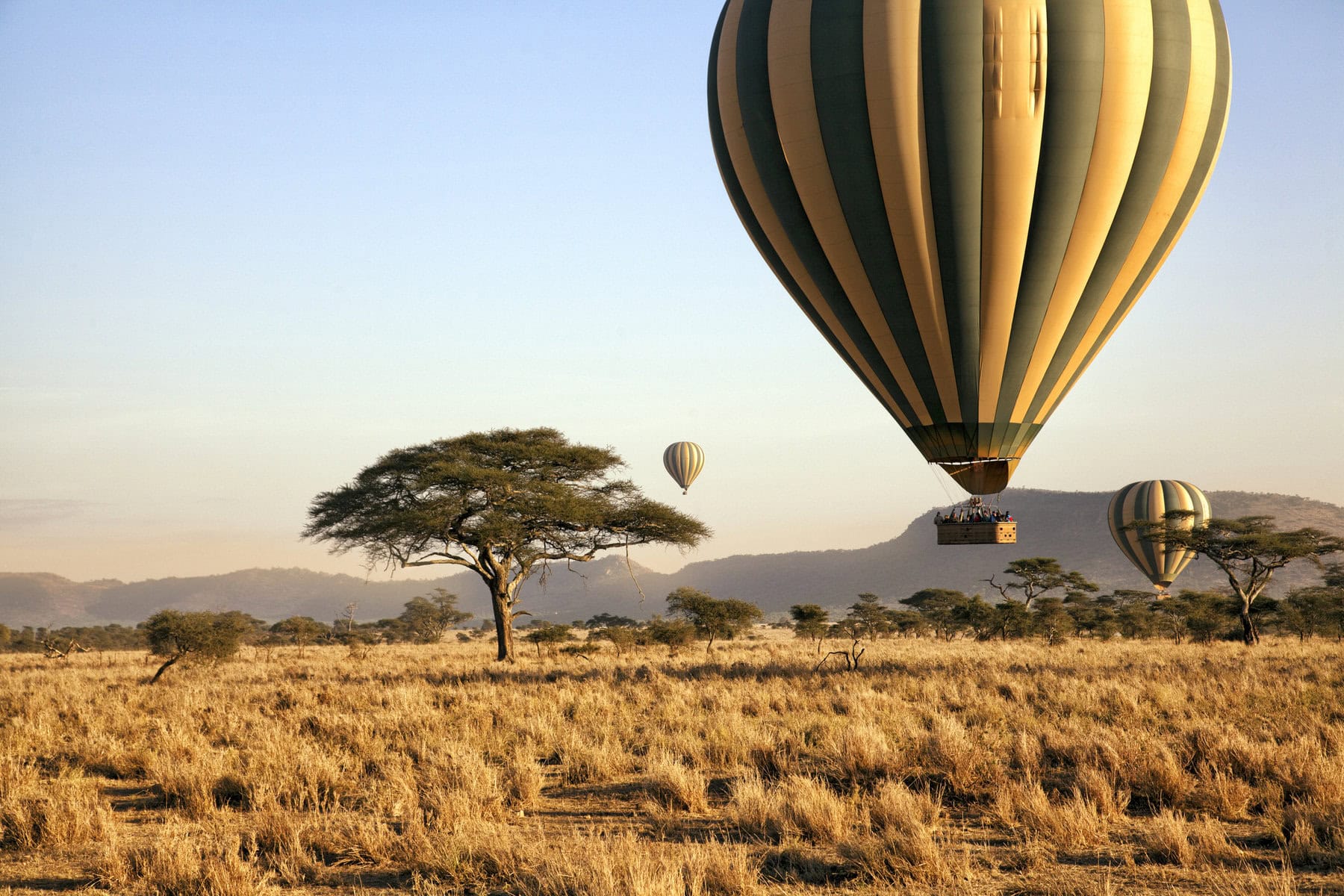 serengeti hot air balloon safari
