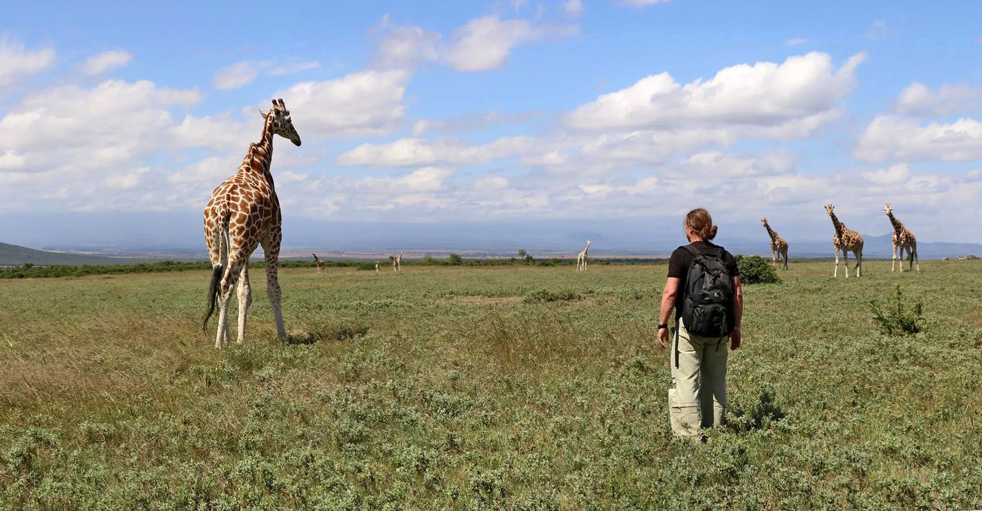 walking-safari