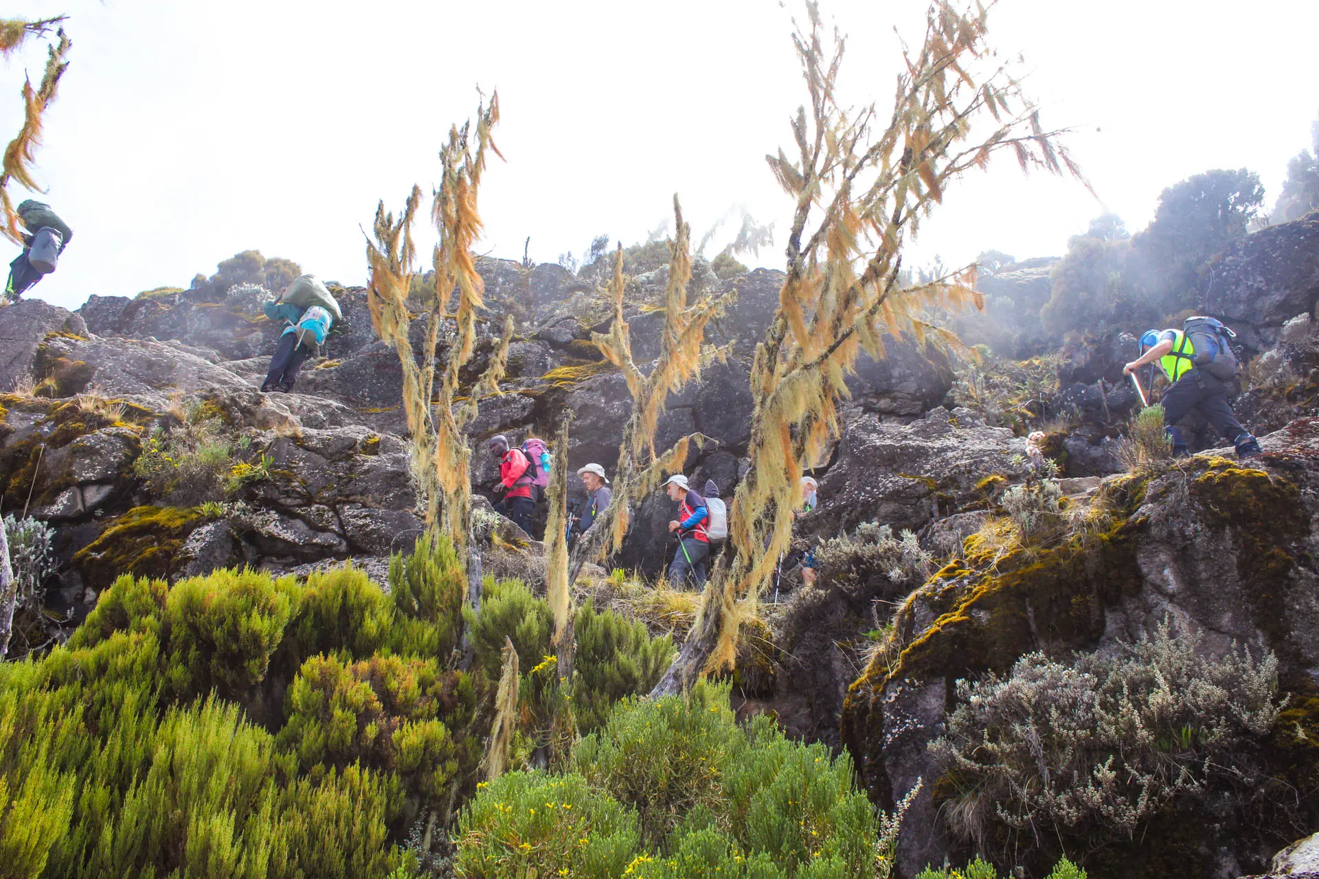 Kilimanjaro-Climbing-Northern-Circuit