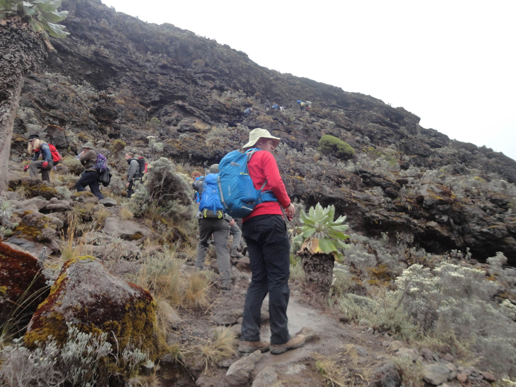 Kilimanjaro Hiking Journeys (5)