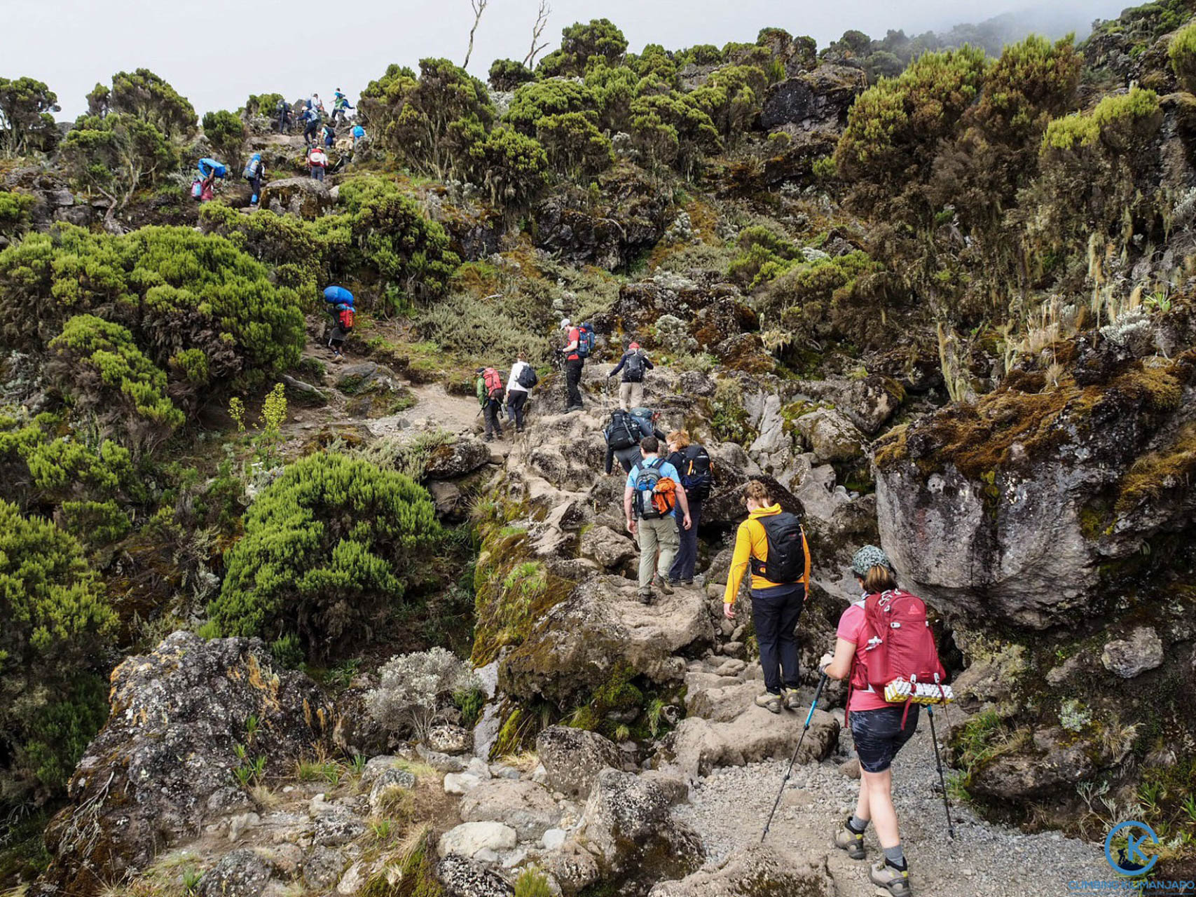 Kilimanjaro Hiking Journeys (64)
