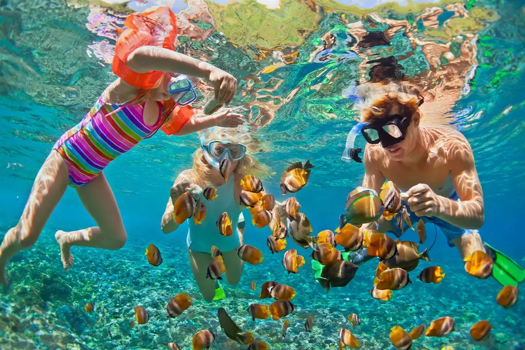 Mnemba-Island-Snorkeling