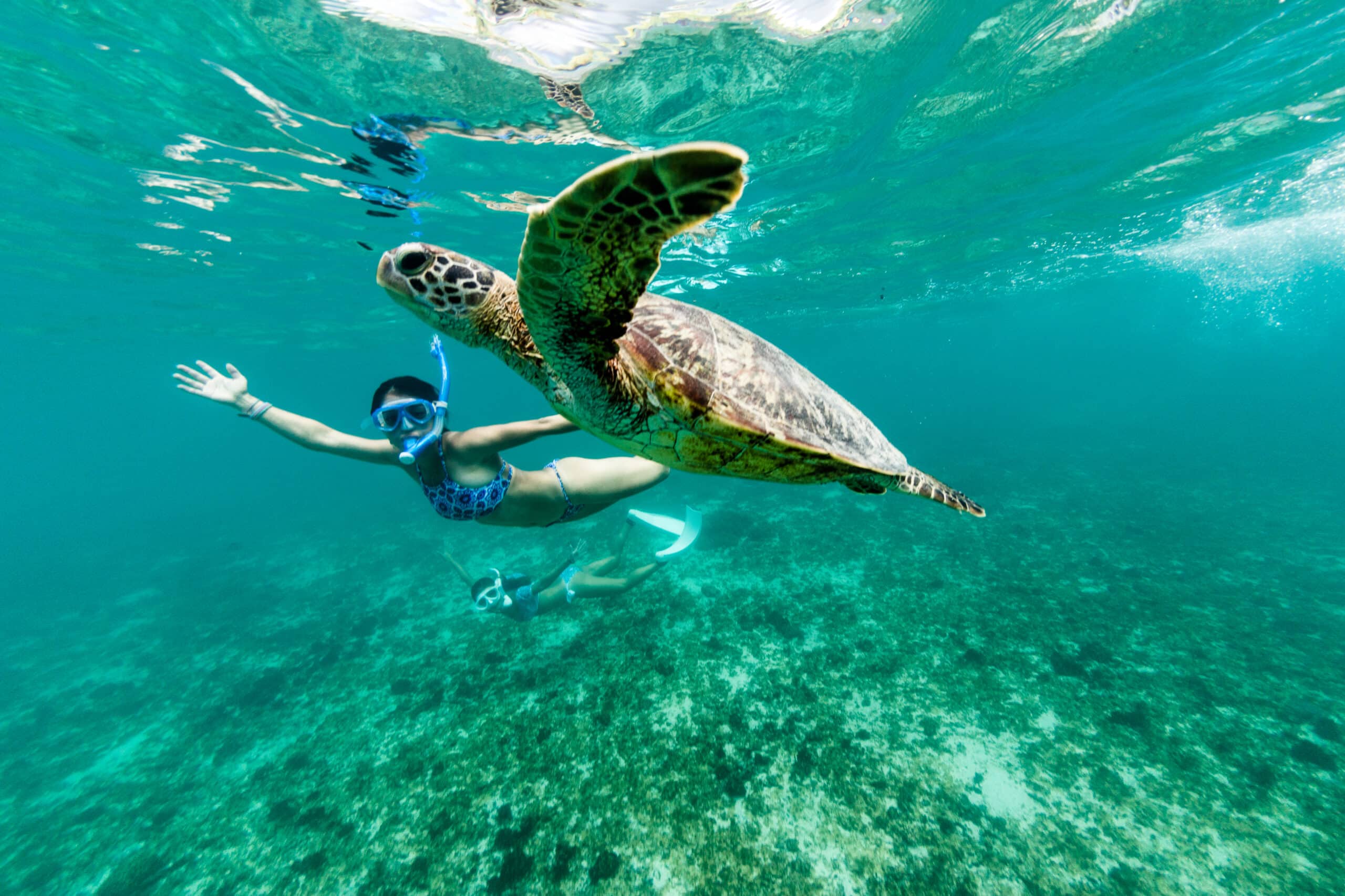 Swimming-with-a-turtle-at-Nungwi-Beach-Easy-Travel-Tanzania-scaled-2