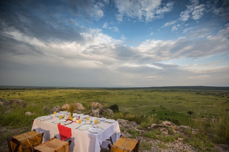 Tarangire Treetops (9)
