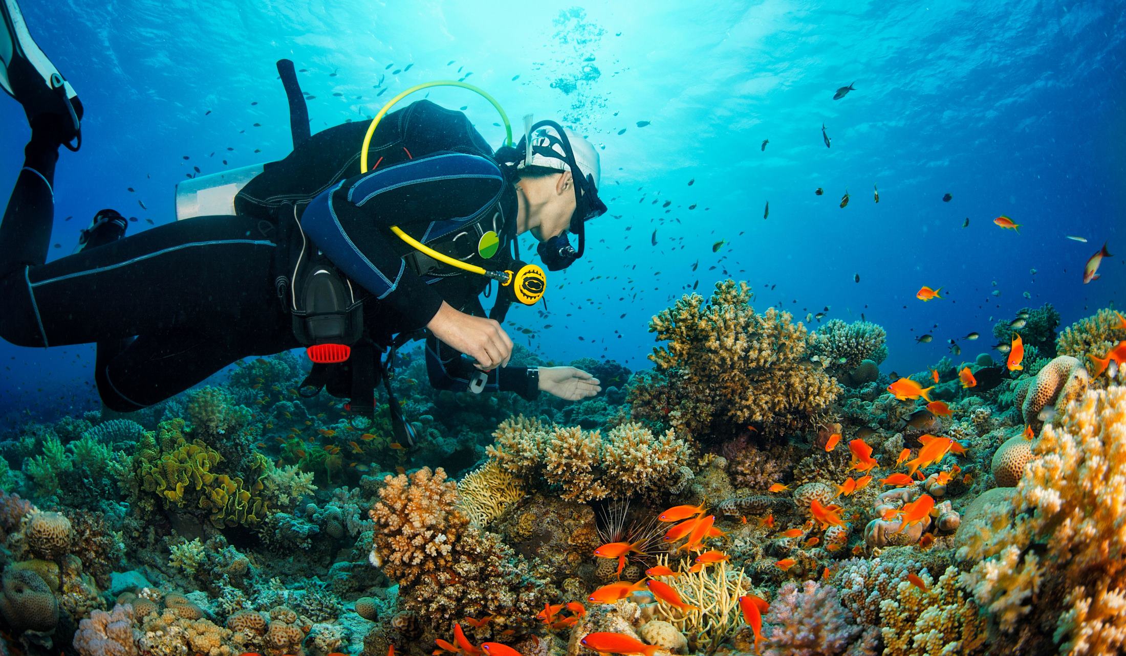 diving