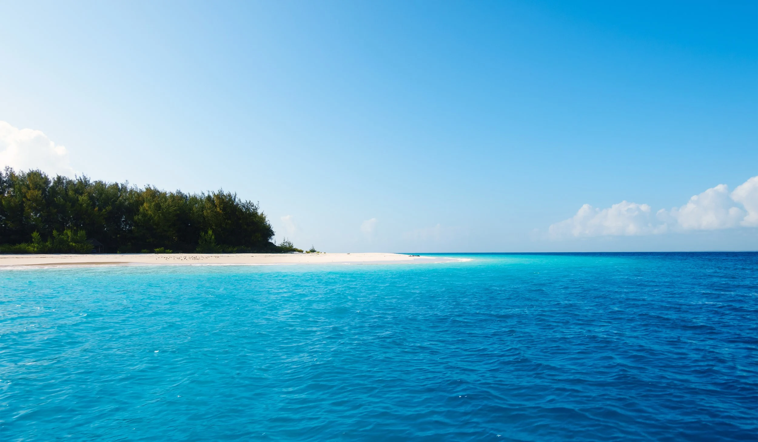 mnemba-island
