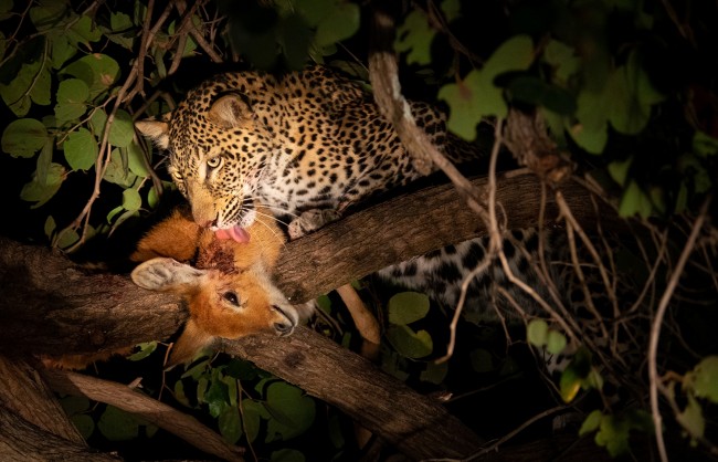 night_game_drive__1