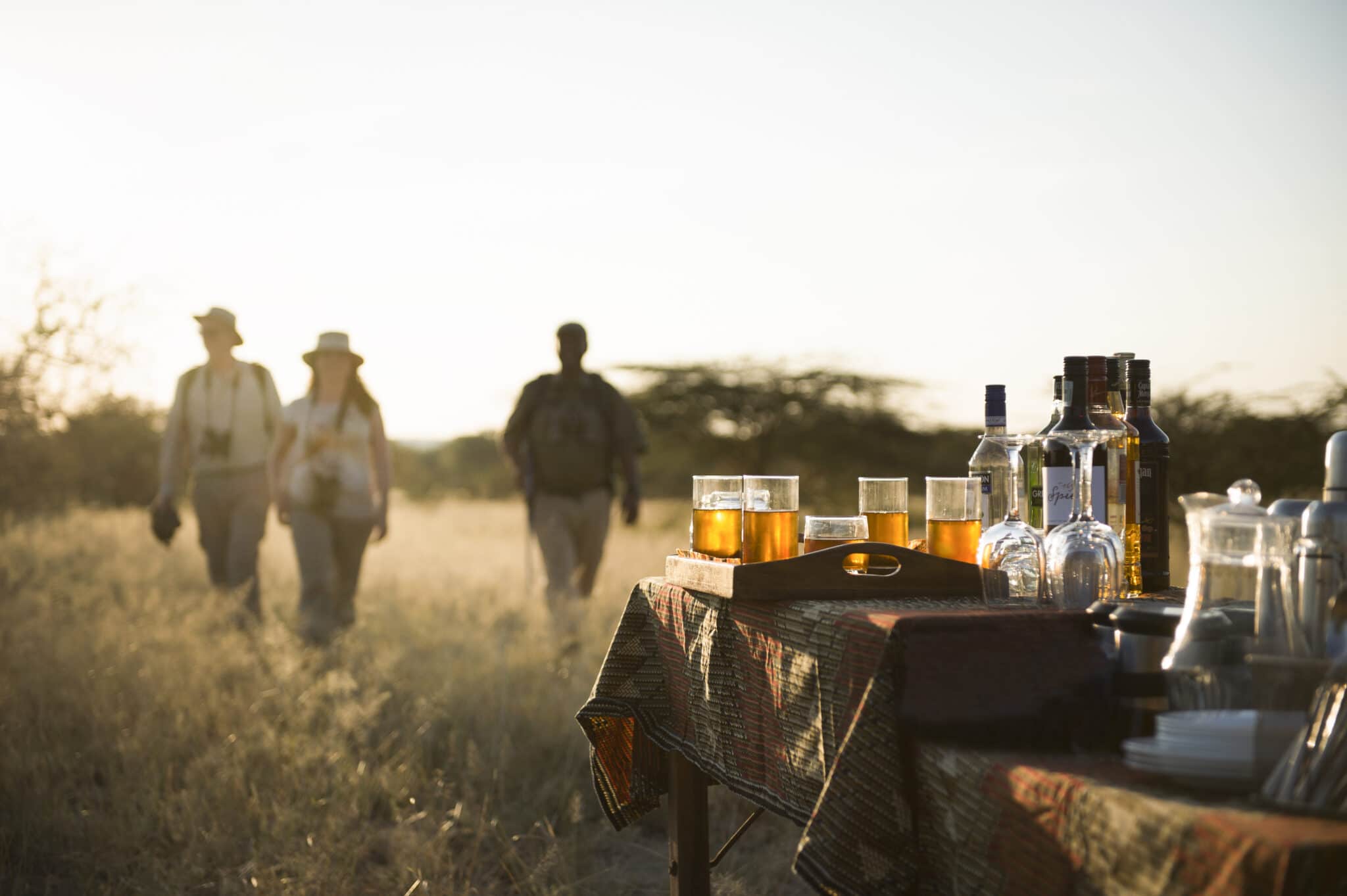 olivers-camp-tarangire-national-park-tanzania-safari-bush-walk-sundowners-scaled-1